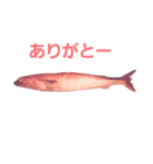 魚スタンプ777（個別スタンプ：4）