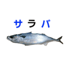 魚スタンプ777（個別スタンプ：11）