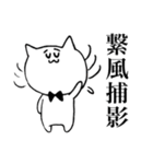 語彙力の高い猫(四字熟語編)（個別スタンプ：12）