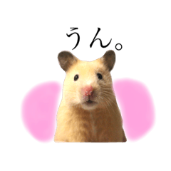 [LINEスタンプ] ハムランド3