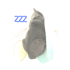 [LINEスタンプ] Russian blue cat-Small Blue