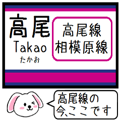 [LINEスタンプ] 私鉄の高尾線 相模原線 いまこの駅だよ！