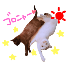 [LINEスタンプ] ましろ♡くろま