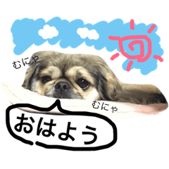 [LINEスタンプ] 我が家のララさん。