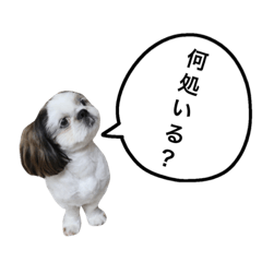 [LINEスタンプ] Life of MOKU.(2)