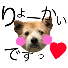 [LINEスタンプ] こじろたん