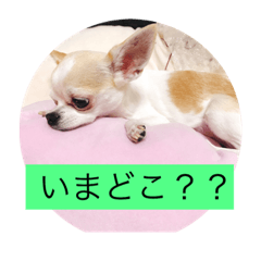 [LINEスタンプ] たその日常