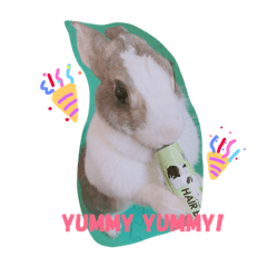 [LINEスタンプ] bunny Duby