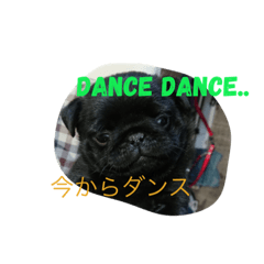 [LINEスタンプ] Little Puppy Paguzaemon