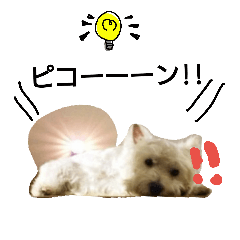 [LINEスタンプ] ウェスティのふー太