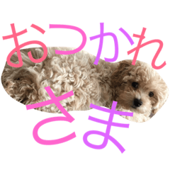 [LINEスタンプ] モコノア