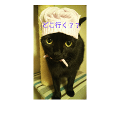 [LINEスタンプ] 黒猫福ちゃん