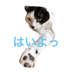 [LINEスタンプ] よもぎさん