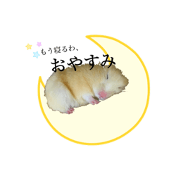 [LINEスタンプ] こむぎのシュールな1日