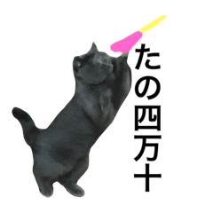 [LINEスタンプ] おさかさん家のブリメリ②