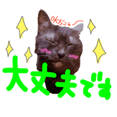 [LINEスタンプ] 我が家の可愛いこちゃん7