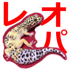 [LINEスタンプ] ウィロさんちのレオパ