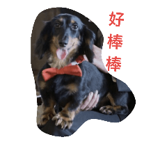 [LINEスタンプ] dog happy day one