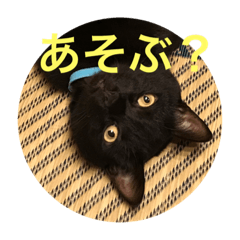 [LINEスタンプ] ボルトの日常