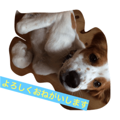 [LINEスタンプ] ごあいさつしYO