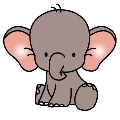 baby elephantt