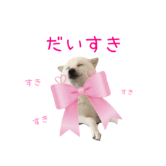 [LINEスタンプ] ゆんゆんゆきちゃん