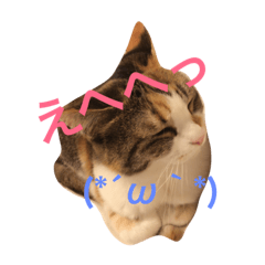 [LINEスタンプ] 山内さん家の猫。ちゃちゃ丸＆もみじ