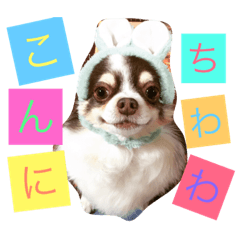 [LINEスタンプ] 愛犬シェイク