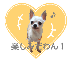 [LINEスタンプ] mypets 1