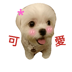 [LINEスタンプ] Lovely puppies~3