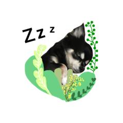 [LINEスタンプ] My  sweet dogs "GUTI and QUEEN"の画像（メイン）