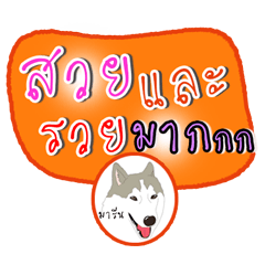 [LINEスタンプ] Dog Club No 7