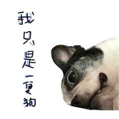 [LINEスタンプ] Bostonterriers dog