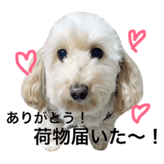 [LINEスタンプ] ますだくくり