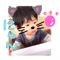 [LINEスタンプ] しゅうとねこ