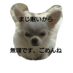 [LINEスタンプ] チワックスの気分 かな