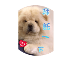 [LINEスタンプ] Bobo talk2