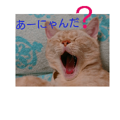 [LINEスタンプ] ゆうと君と一言7