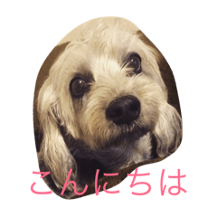 [LINEスタンプ] KOUME22