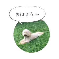 [LINEスタンプ] Mache Stamp