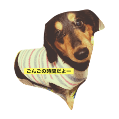 [LINEスタンプ] dog！love