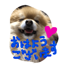 [LINEスタンプ] ちゃーさく2