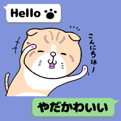 [LINEスタンプ] zoubrothersのえんちゃん英語で挨拶