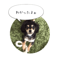 [LINEスタンプ] ラテライフ3