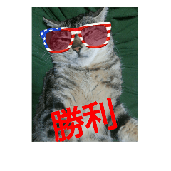 [LINEスタンプ] cat stamp4