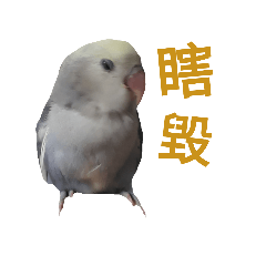 [LINEスタンプ] Adorable Parrots