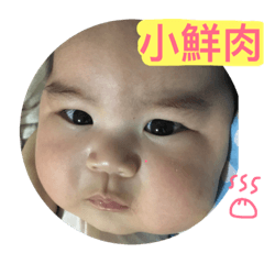 [LINEスタンプ] Yao Fei daily