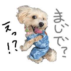 [LINEスタンプ] まるプ〜こころ