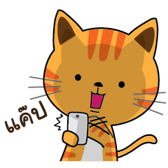 [LINEスタンプ] Shotti CAT