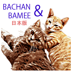 [LINEスタンプ] Bachan ＆ Bamee Japan Ver.